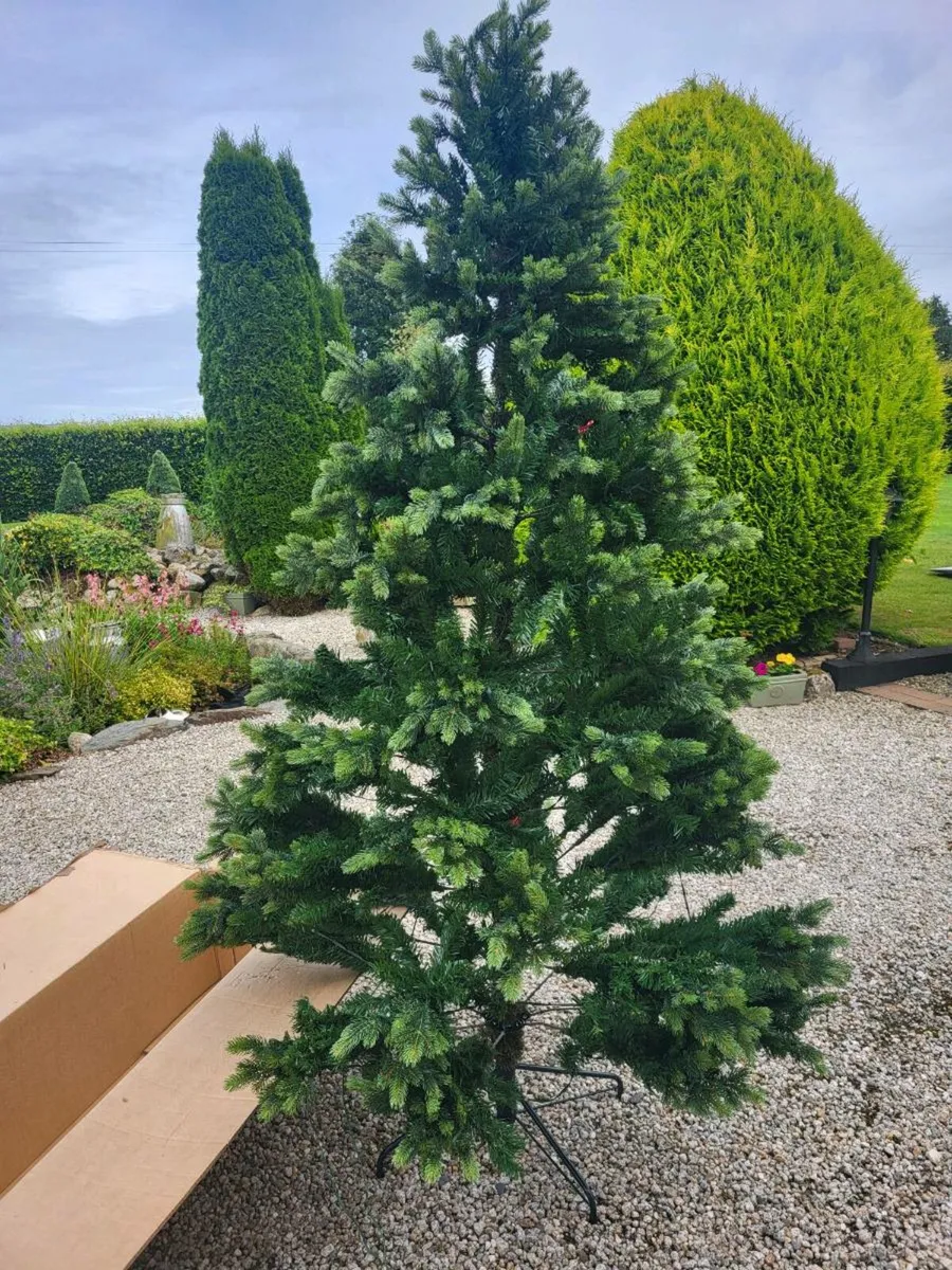 Christmas trees - Image 1