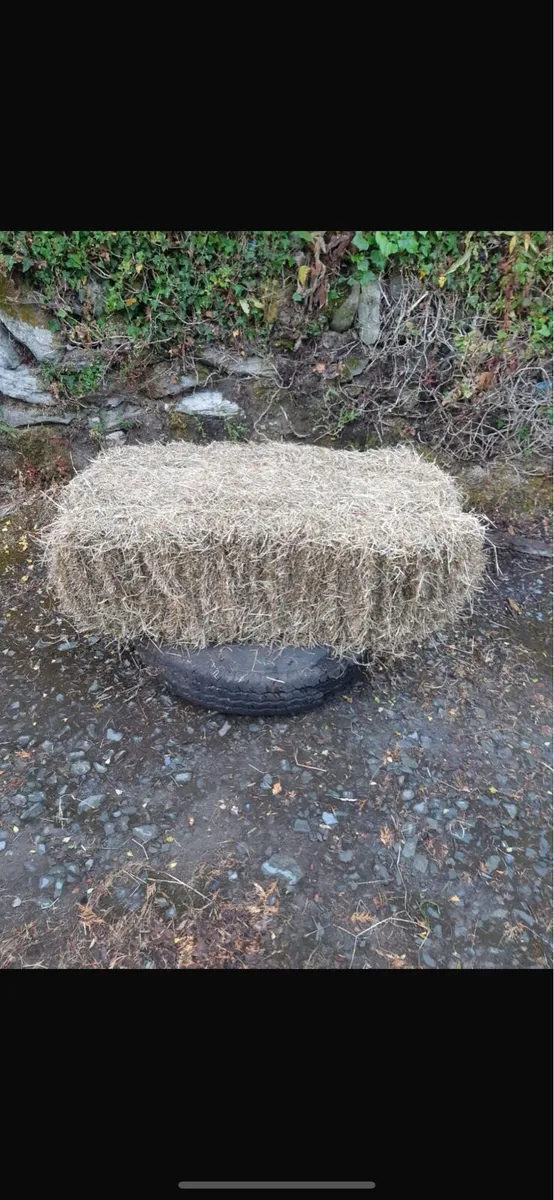 Square Bales Of Hay - Image 1