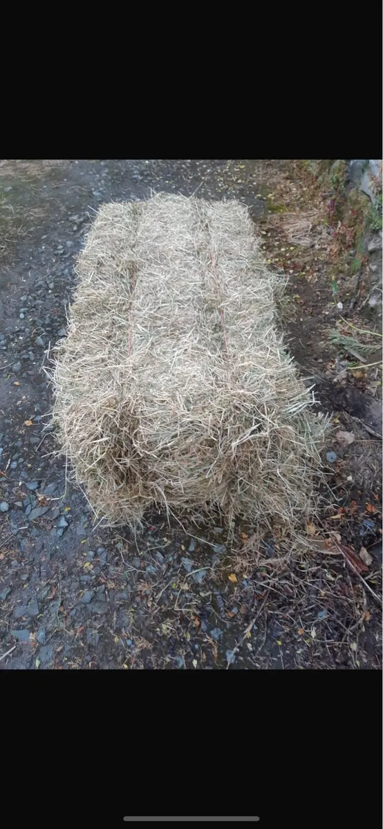 Square Bales Of Hay - Image 2