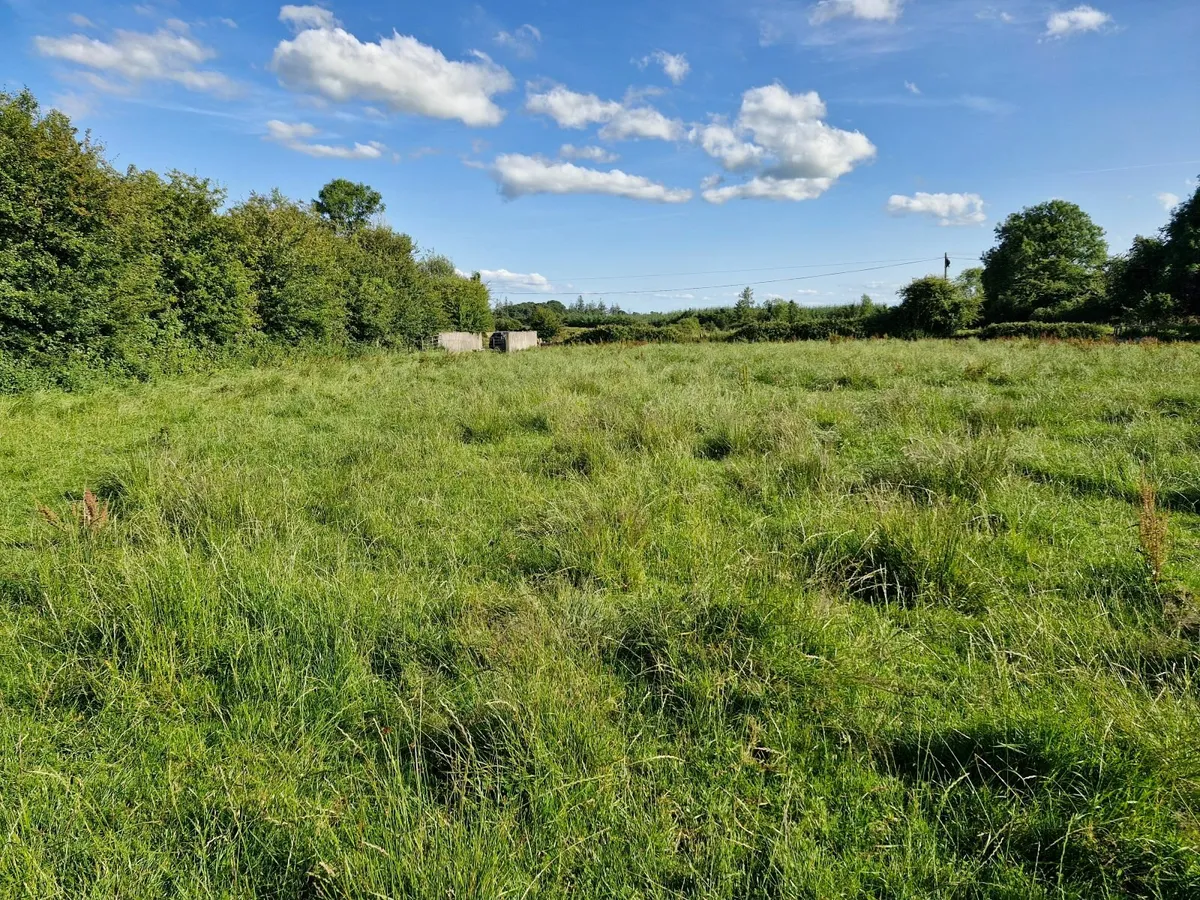 Farm & Site - Image 2