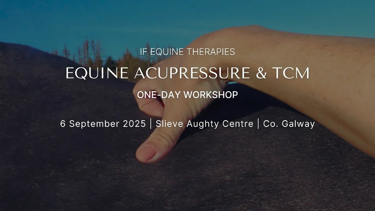 Equine Acupressure - One-day Workshop - Image 1