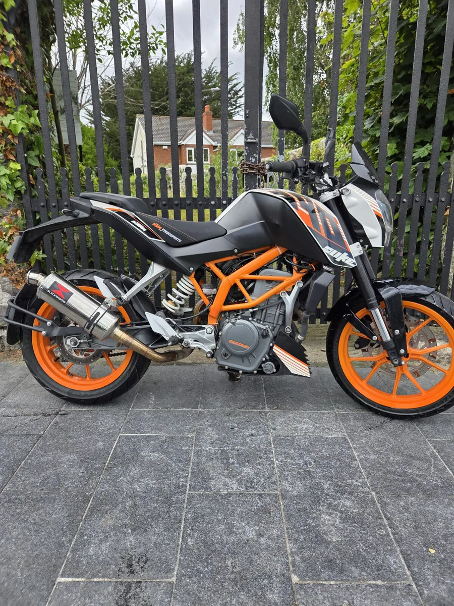 2013 KTM DUKE 390 MOTO4U - Image 4
