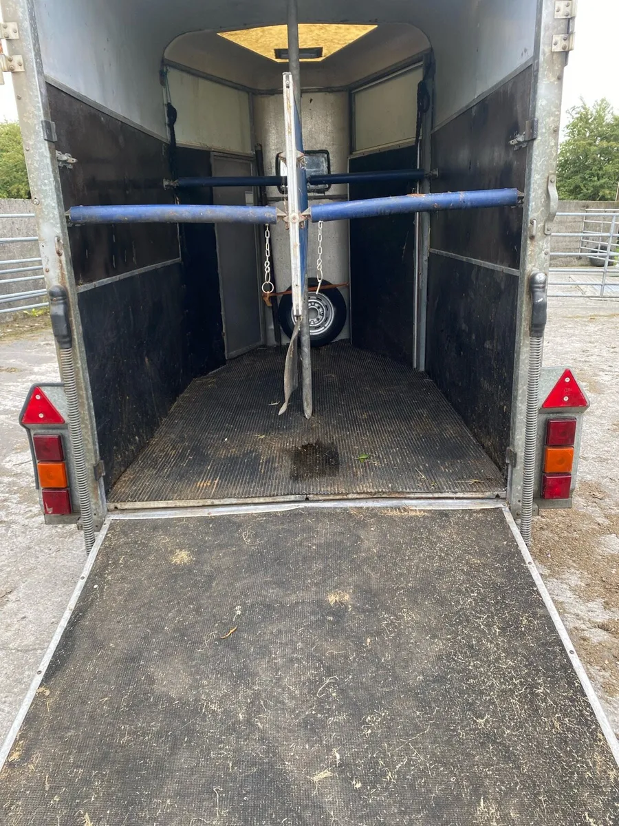 505 Horsebox - Image 3