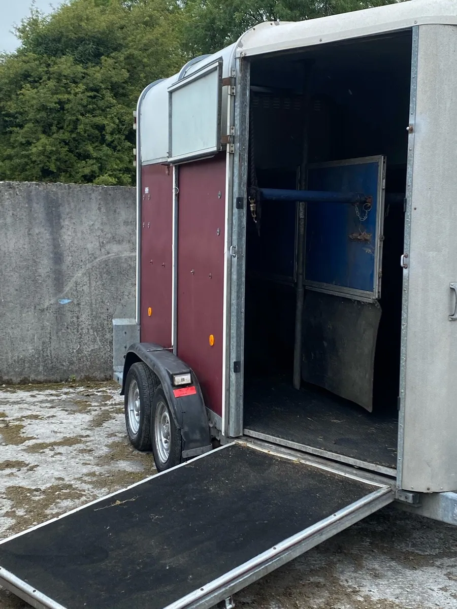 505 Horsebox - Image 4