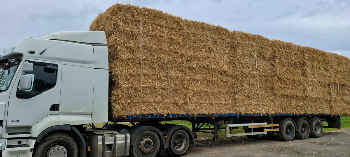 For sale 8x4x3s of top quality barley straw