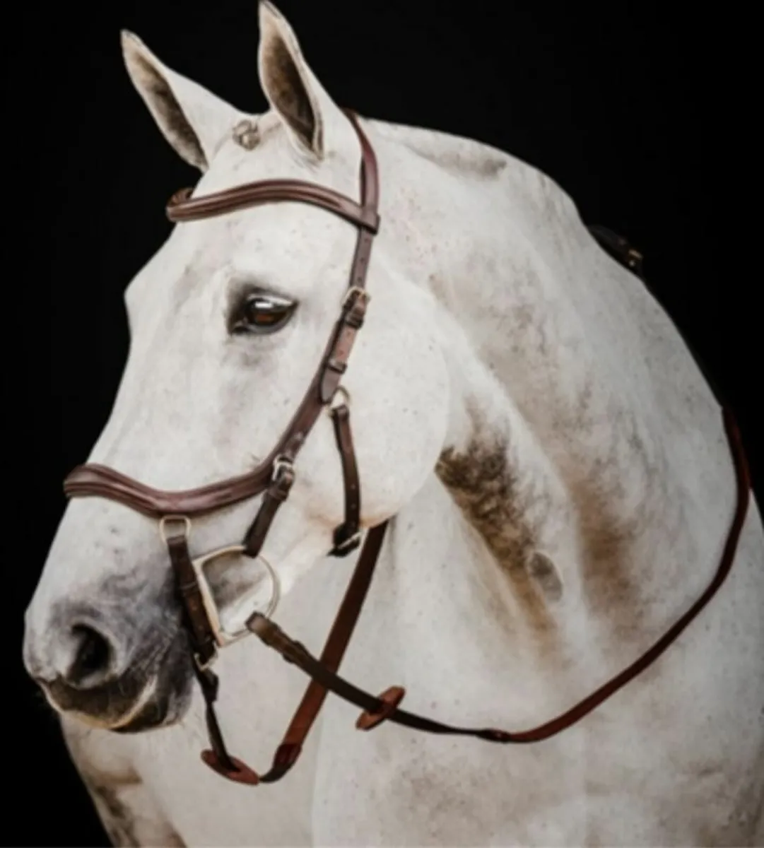 Rambo Micklem Deluxe Competition Bridle - Havana - - Image 1