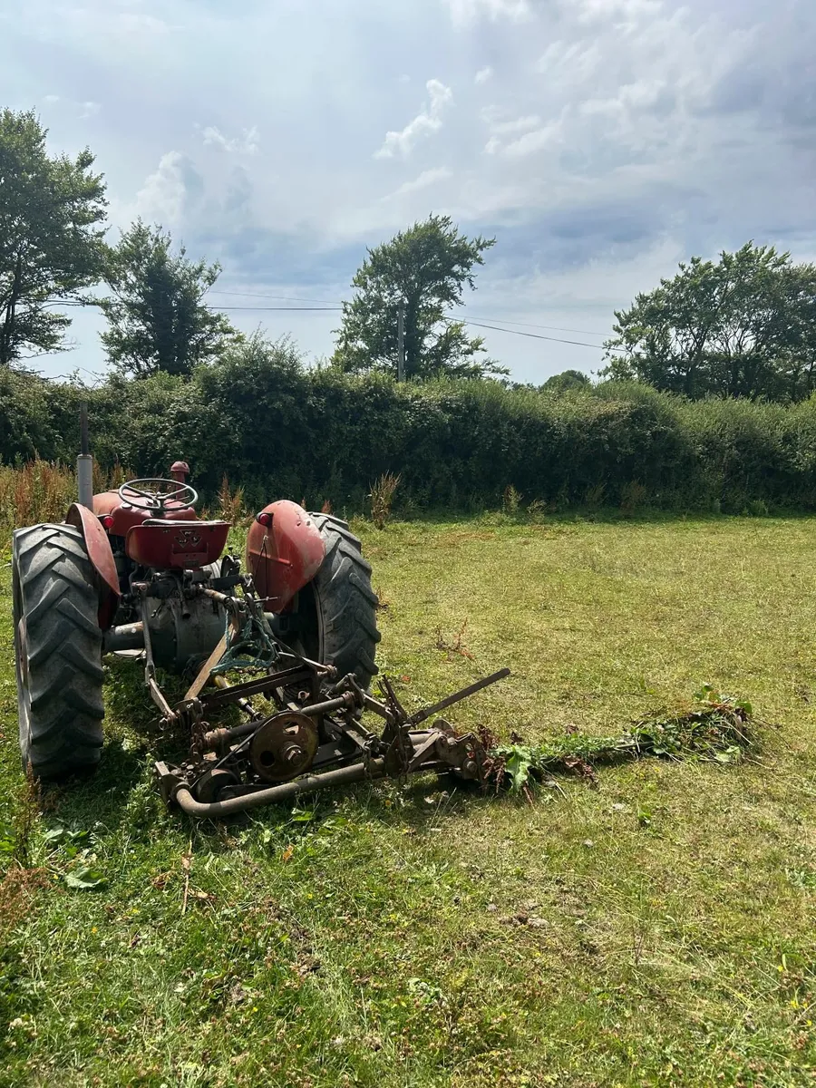Massey Ferguson 35 Used Daily mower/back box incl - Image 3
