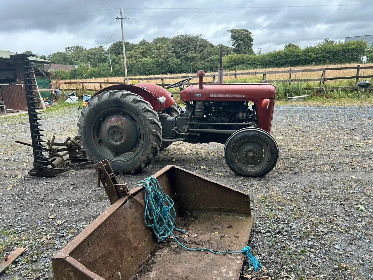 Massey Ferguson 35 Used Daily mower/back box incl - Image 4