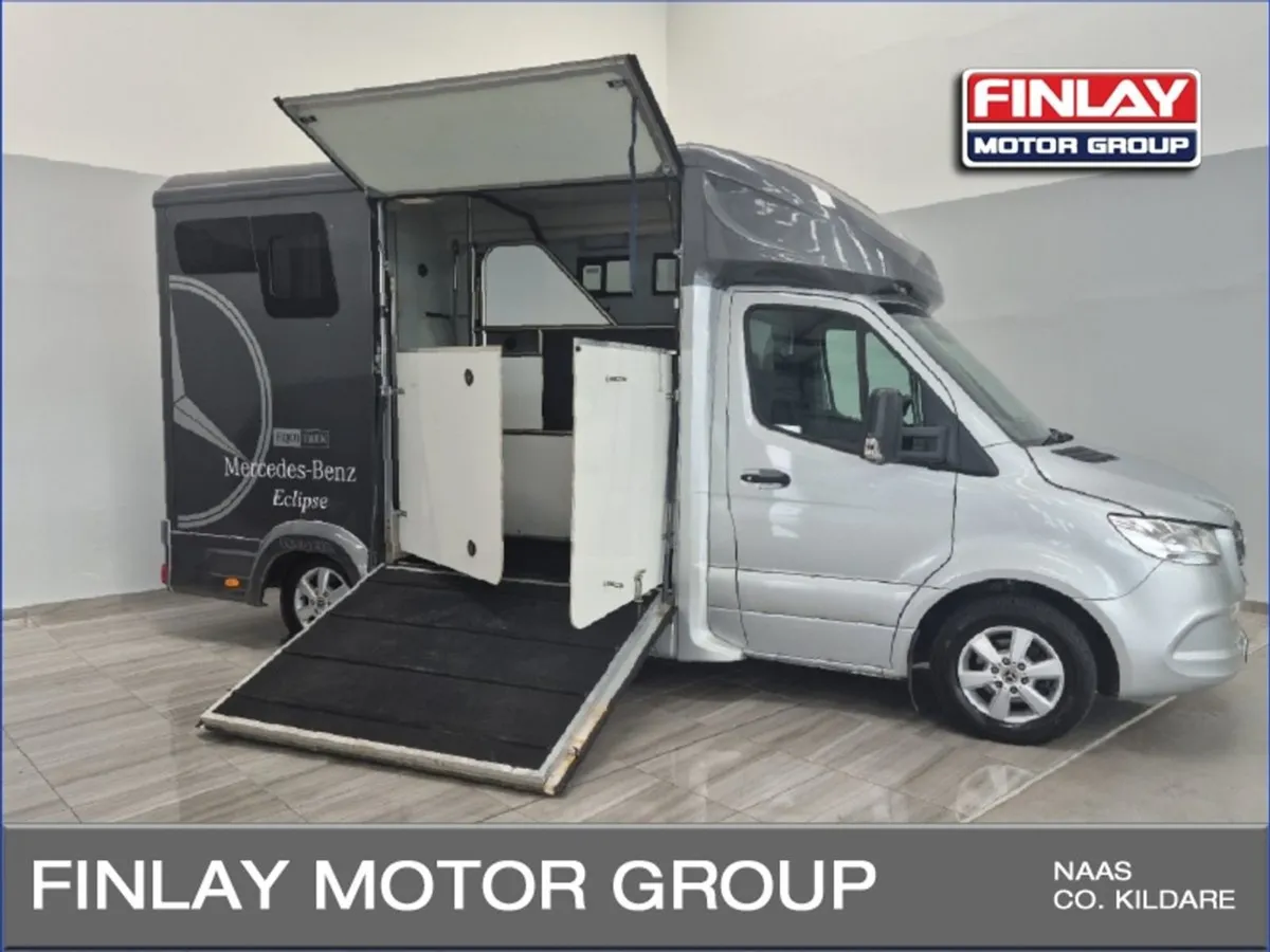 Mercedes-Benz Sprinter Horsebox Automatic - Image 1