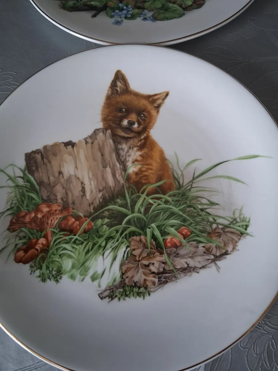 Vintage royal kent plates - Image 1