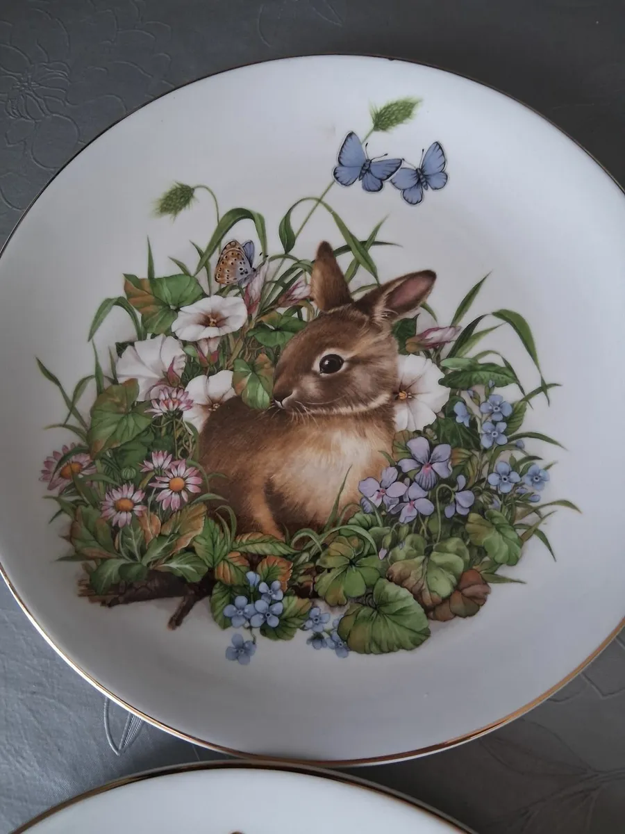 Vintage royal kent plates - Image 2