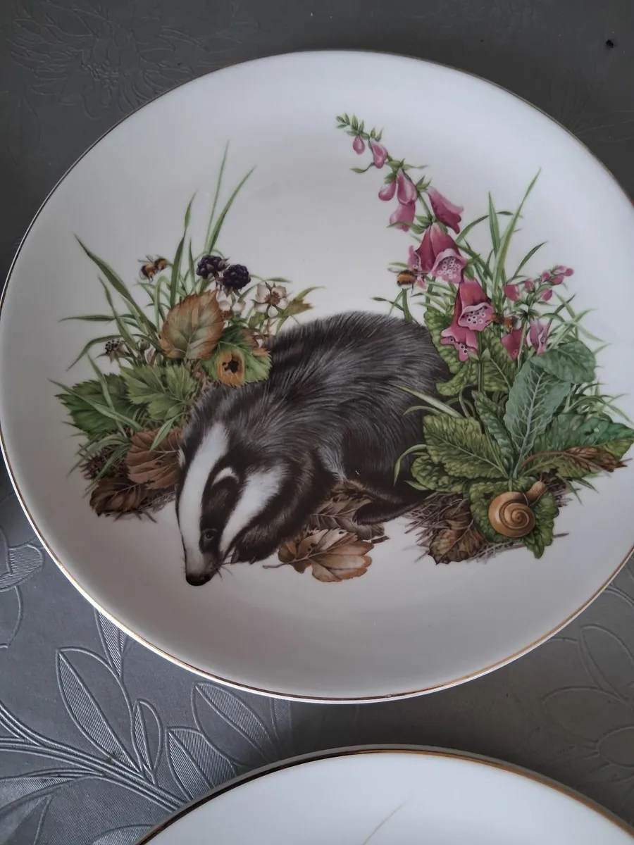 Vintage royal kent plates - Image 3