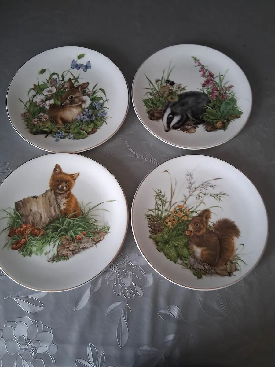 Vintage royal kent plates - Image 4