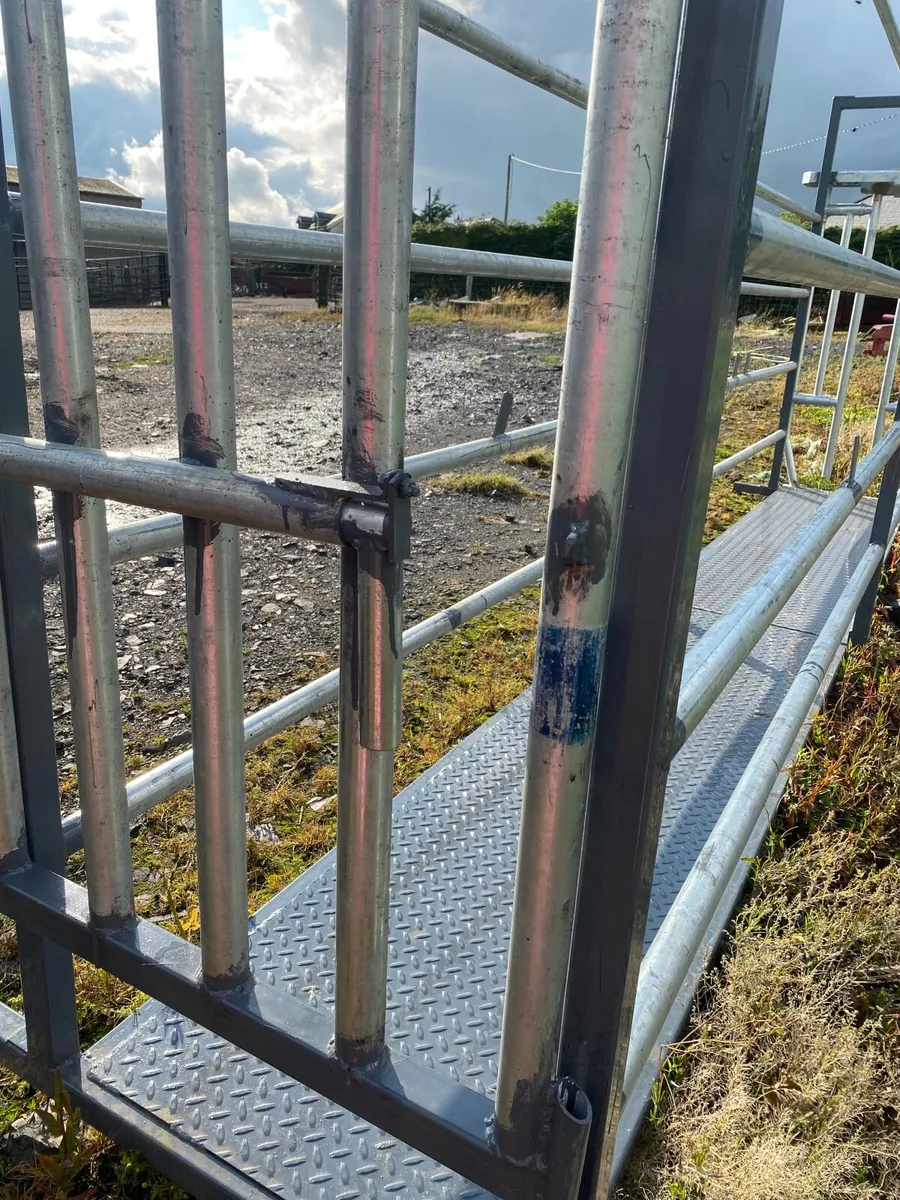 Portable cattle crush - Image 4