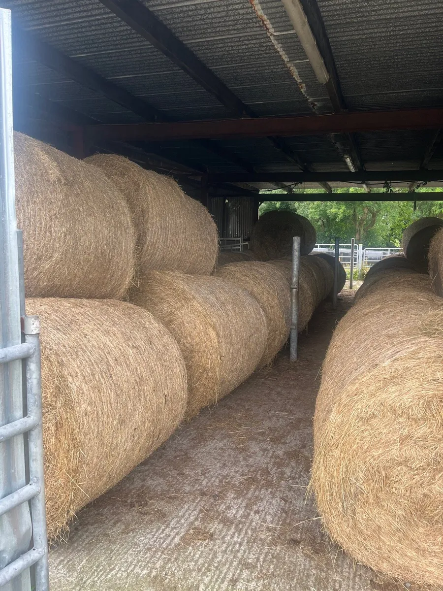 Hay for sale - Image 1