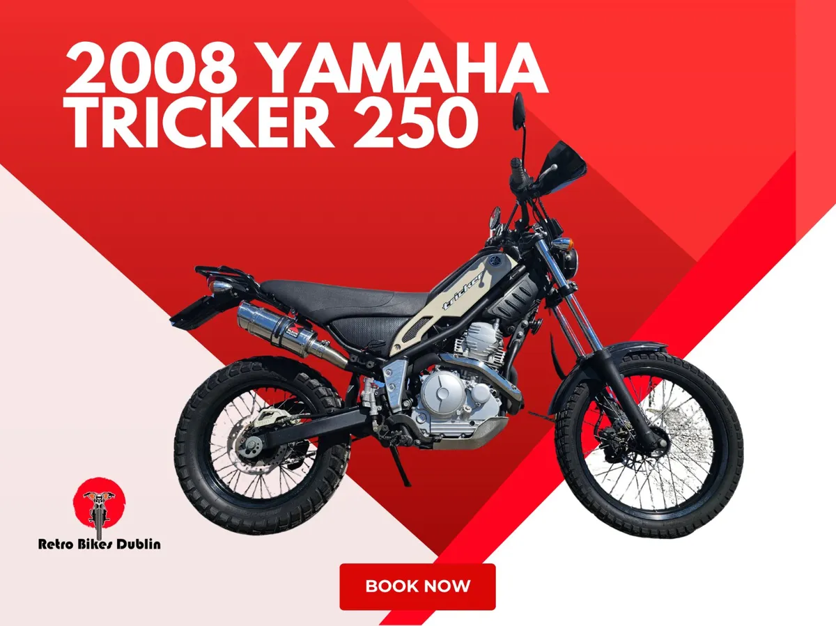 2008 Yamaha Tricker 250 - Image 1