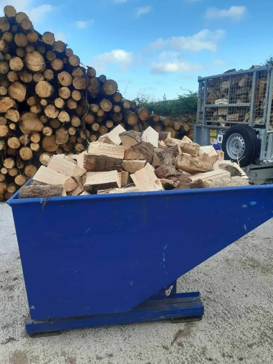 Firewood - Image 1