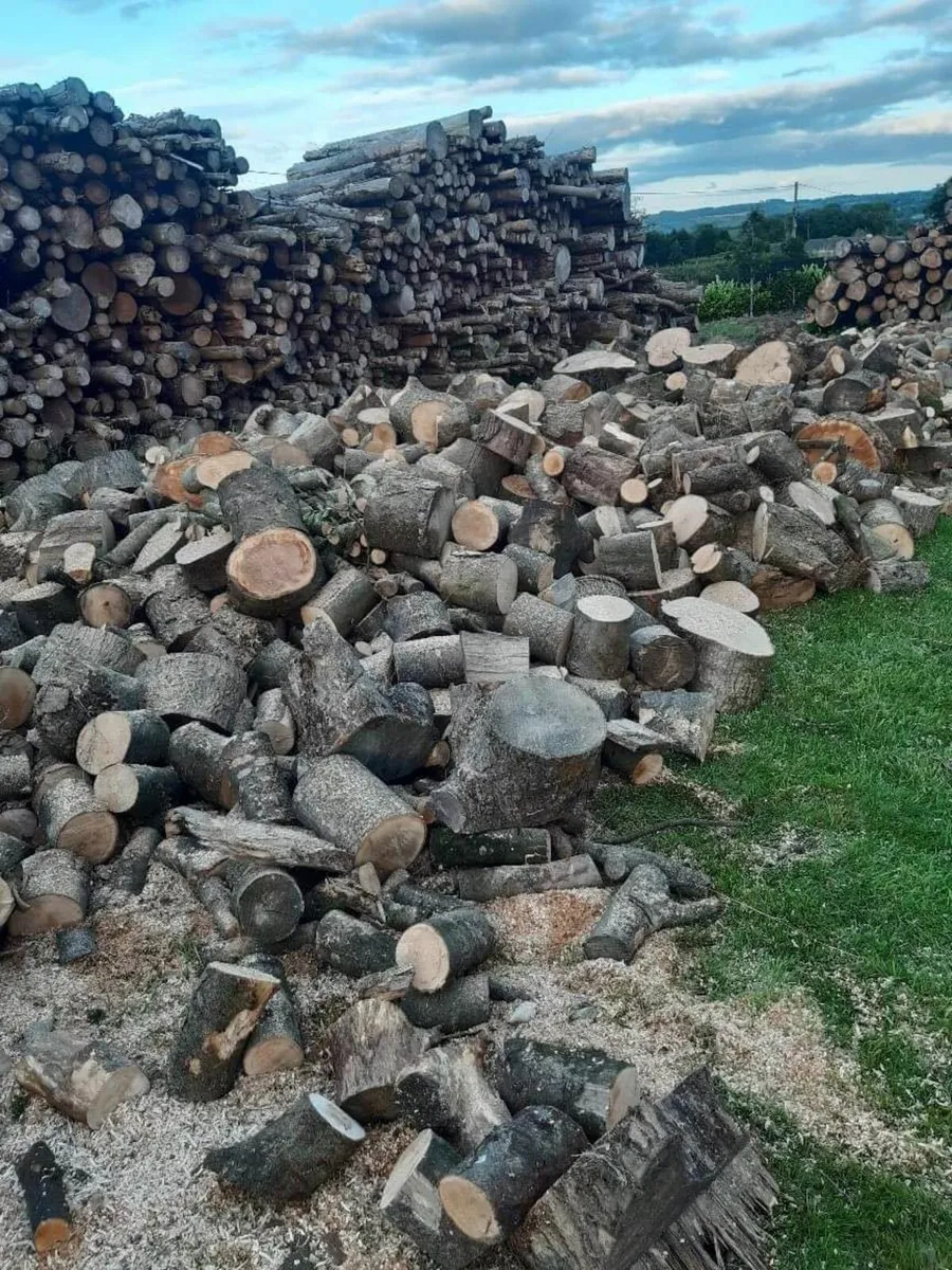 Firewood - Image 2
