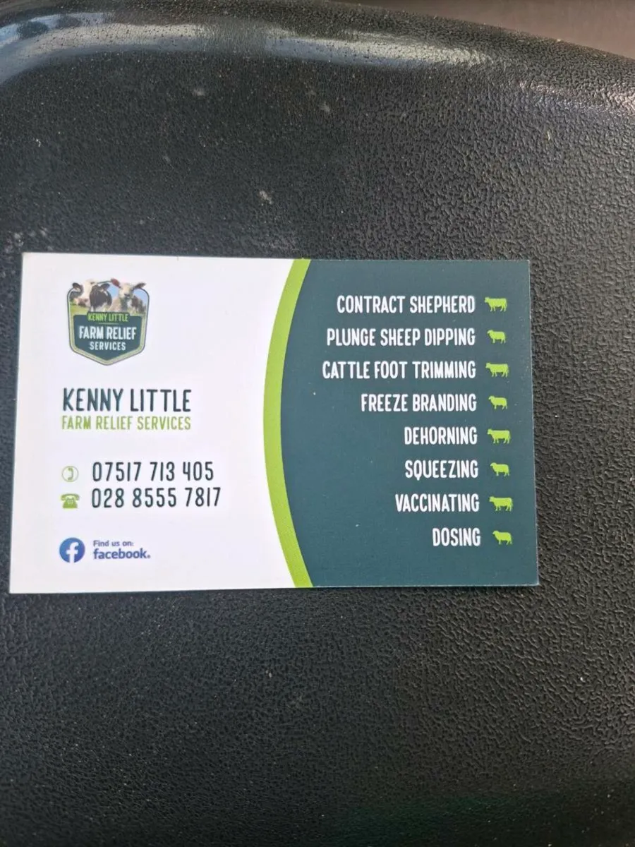 Kenny little mobile plunge dipping service - Image 1