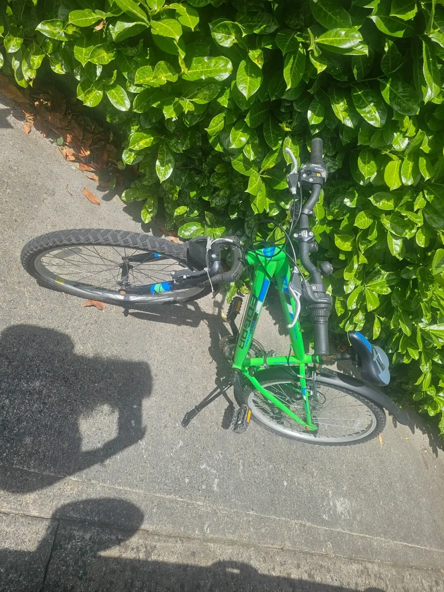 Bike - Image 1
