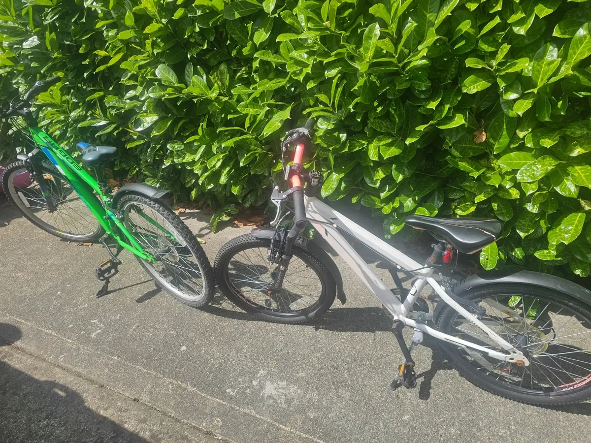 Bike - Image 3