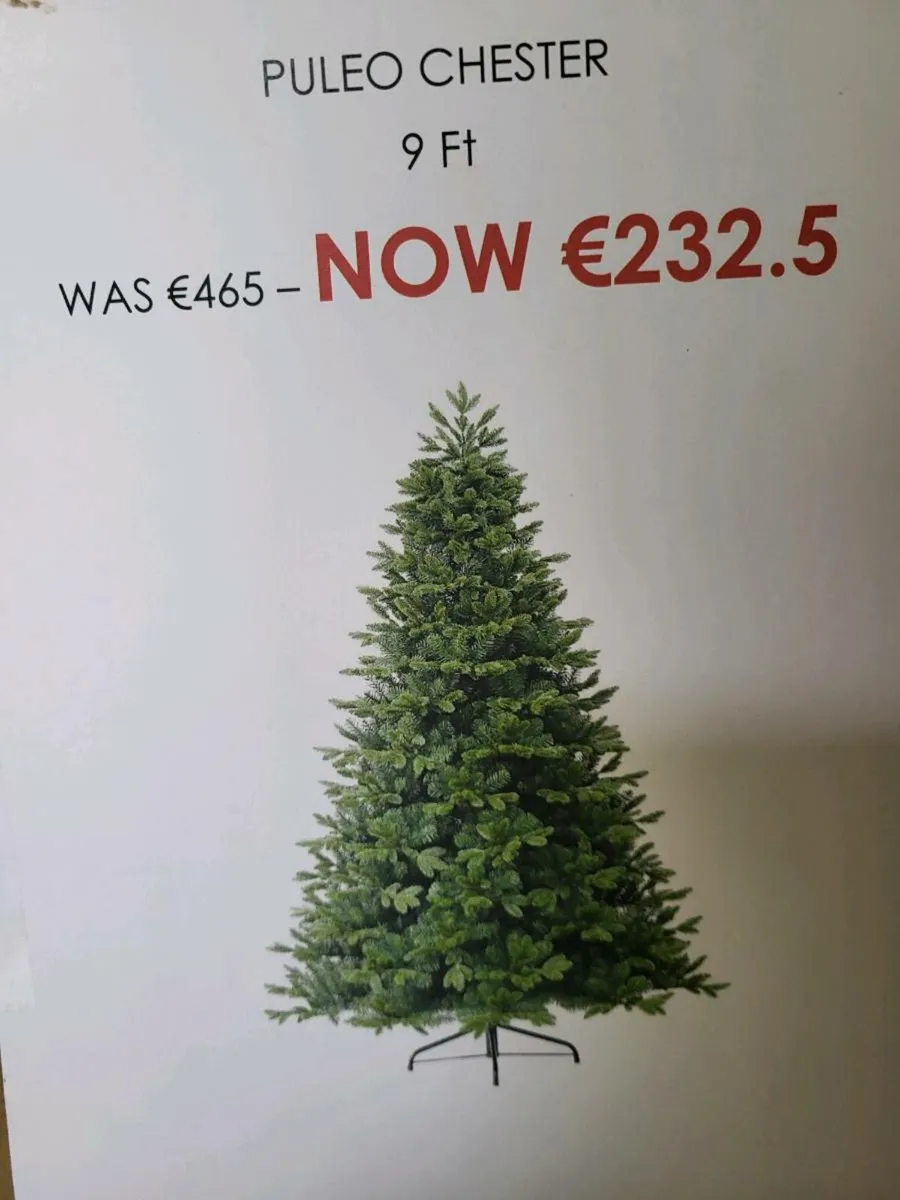 Christmas trees - Image 3