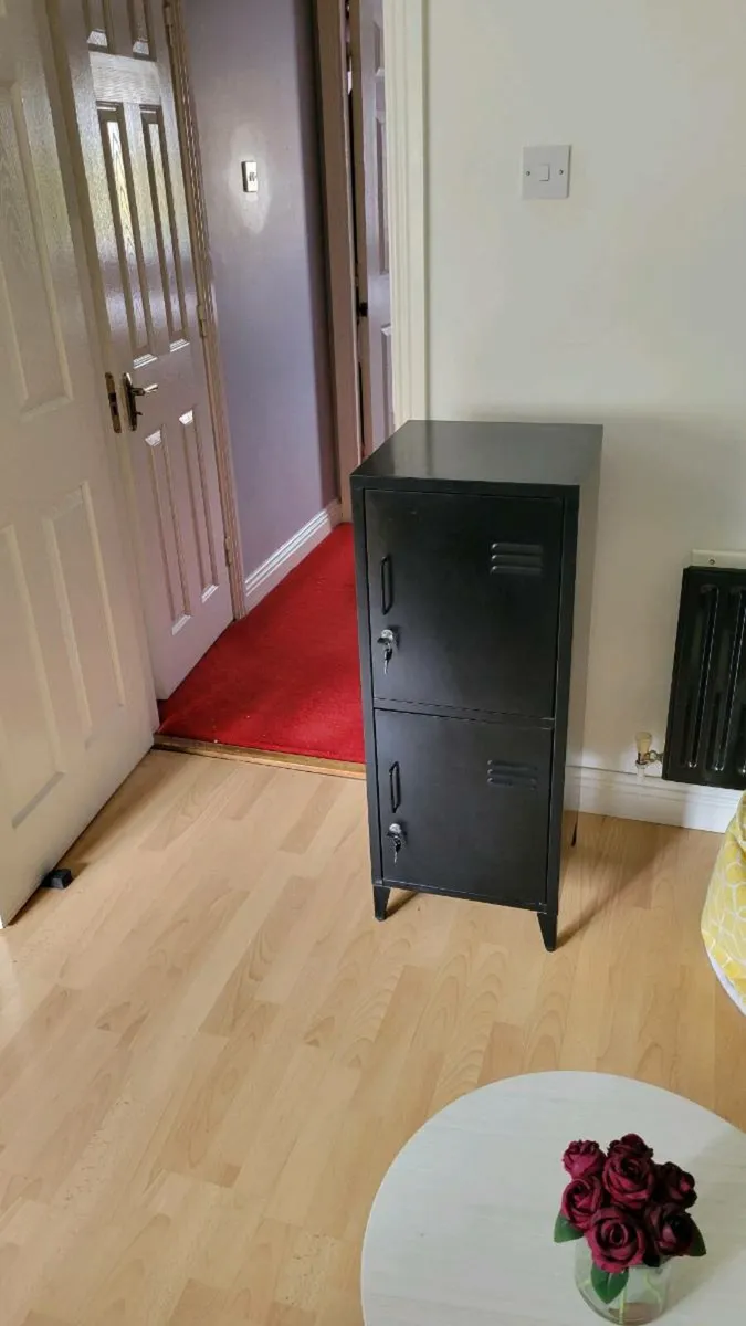 Office metal locker