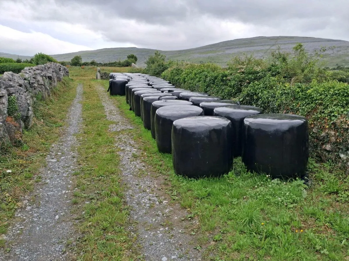 Haylage