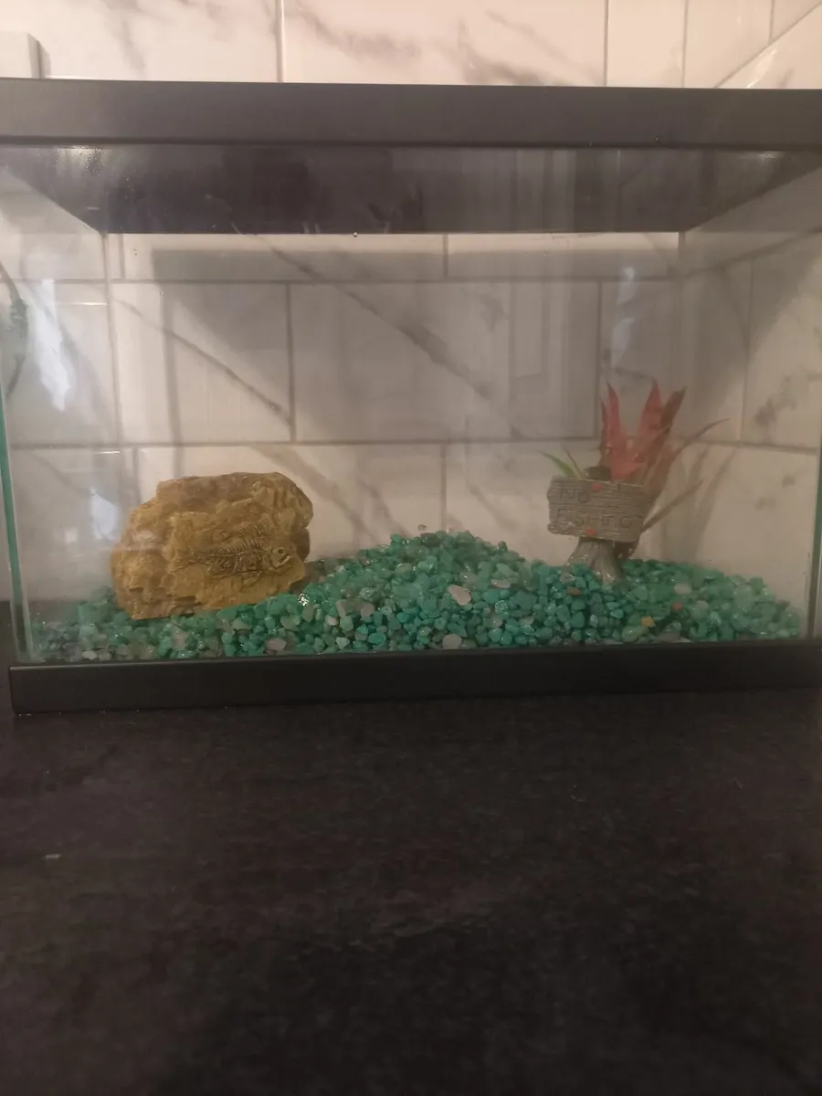 Fish tank - Image 1