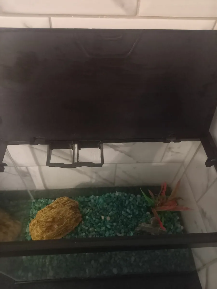 Fish tank - Image 2