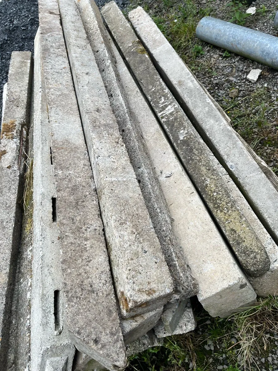 23 concrete stakes for sale - Image 1