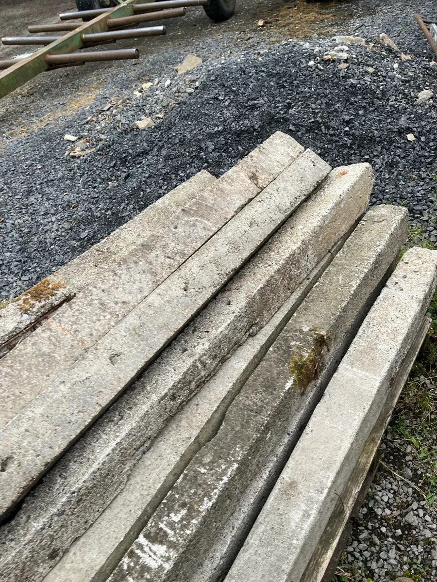 23 concrete stakes for sale - Image 2