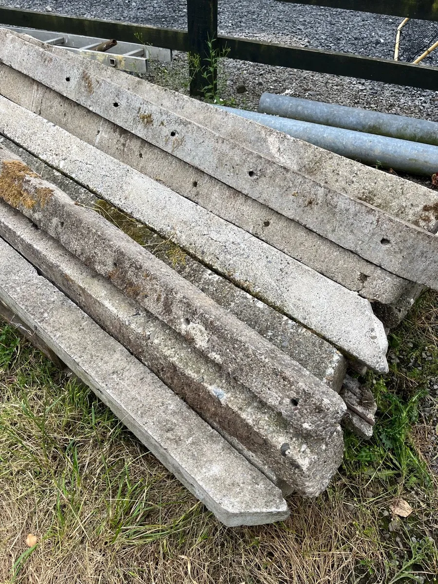 23 concrete stakes for sale - Image 3