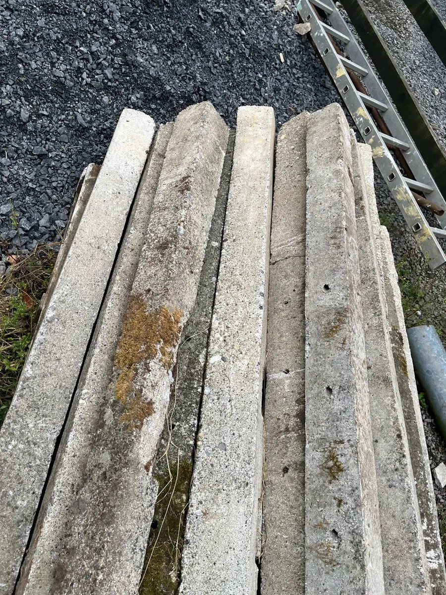 23 concrete stakes for sale - Image 4