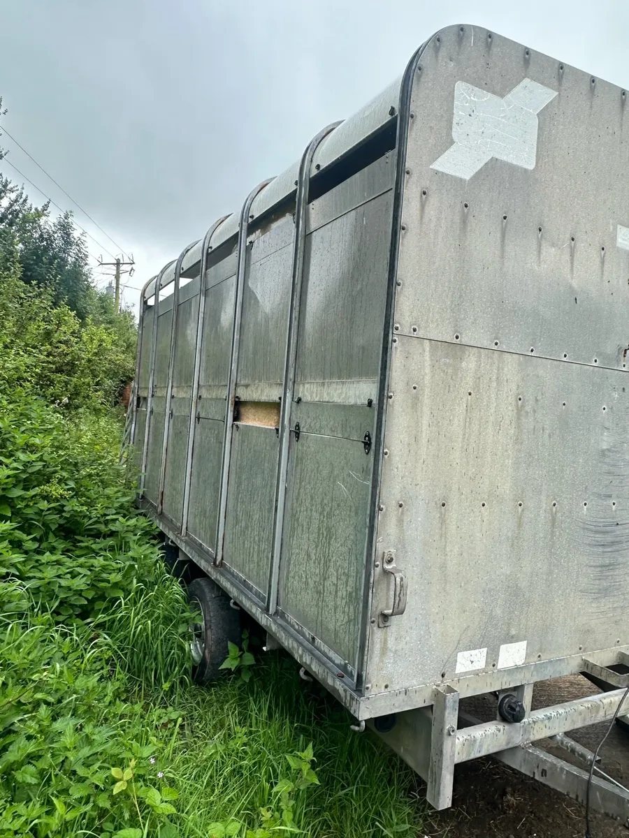 Ifor Williams cattle box - Image 3