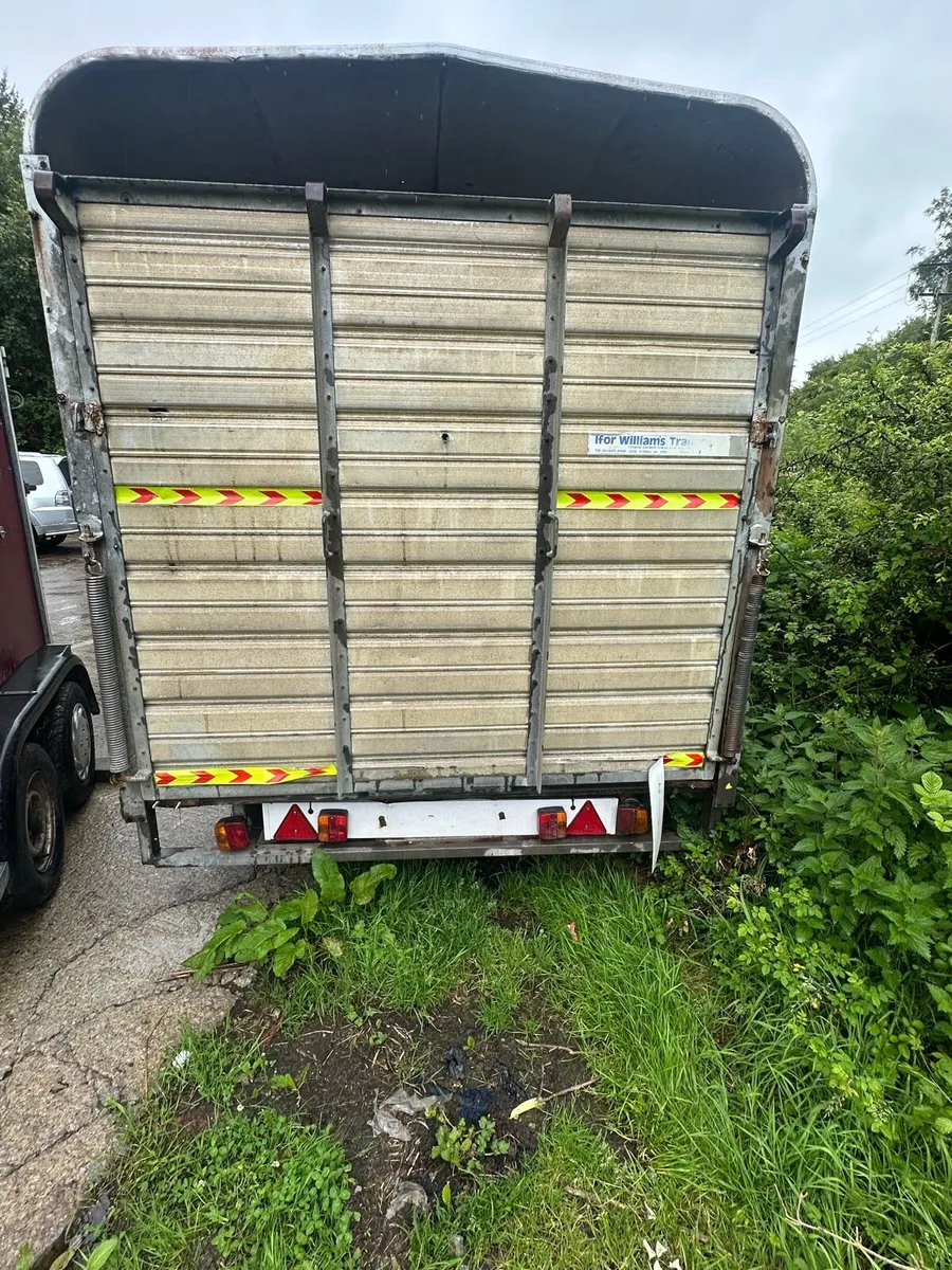 Ifor Williams cattle box - Image 4