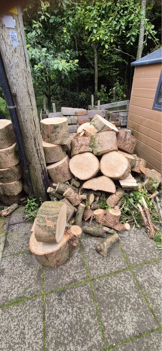 Ash Timber - Image 1