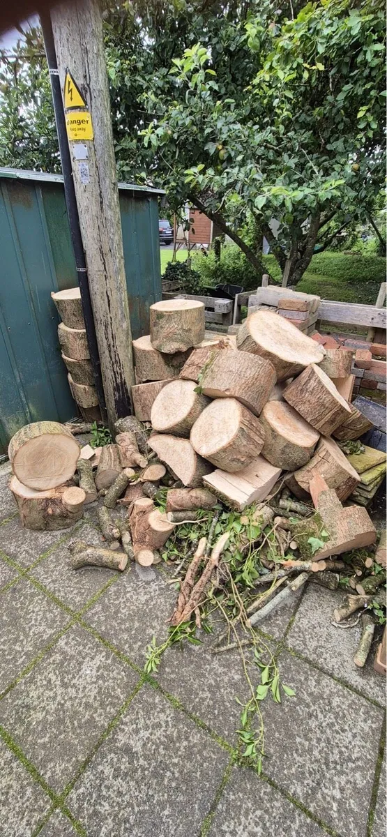 Ash Timber - Image 2