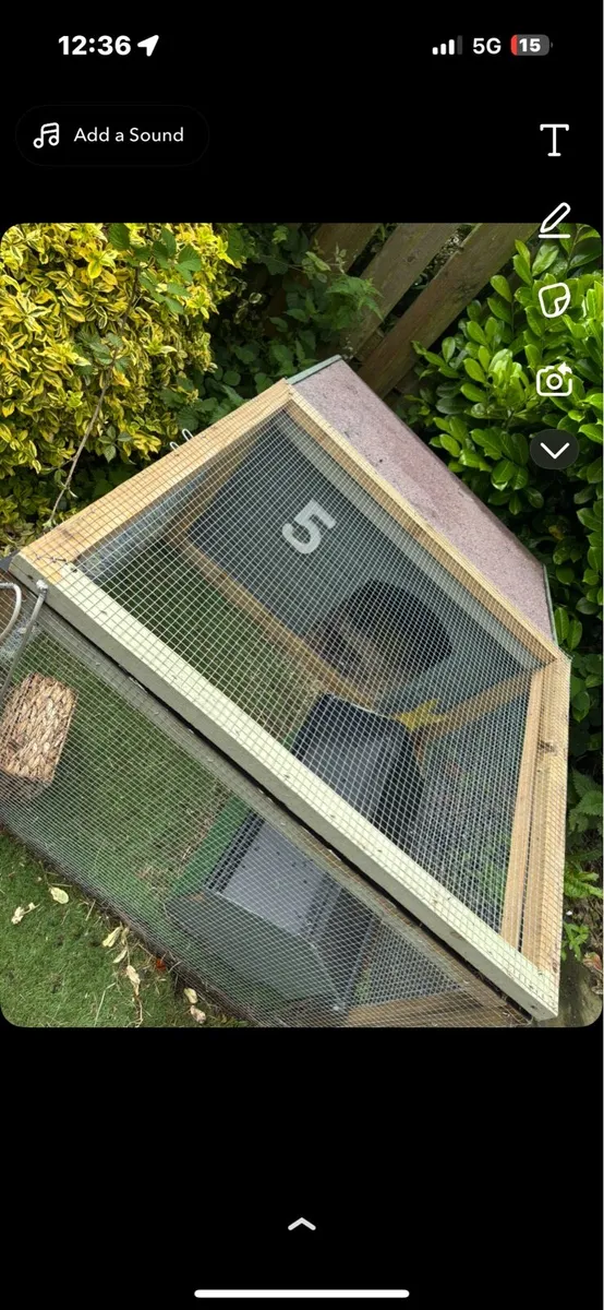 Rabbit hutch - Image 1