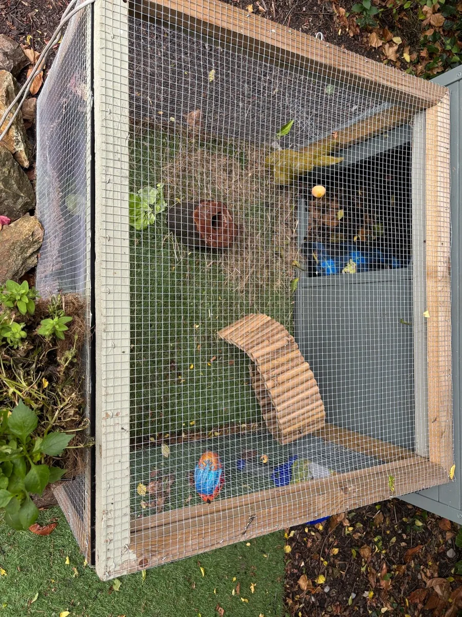 Rabbit hutch - Image 2