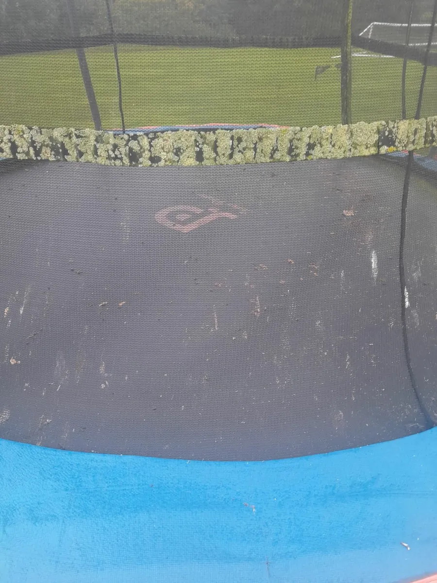 Trampoline - Image 2