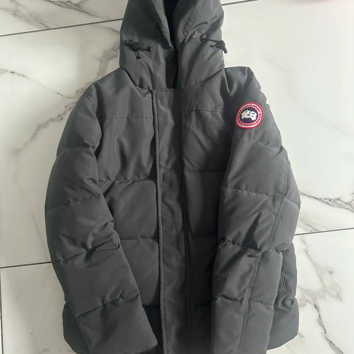Coat - Image 2