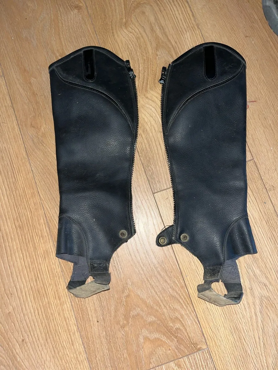 Kids riding chaps