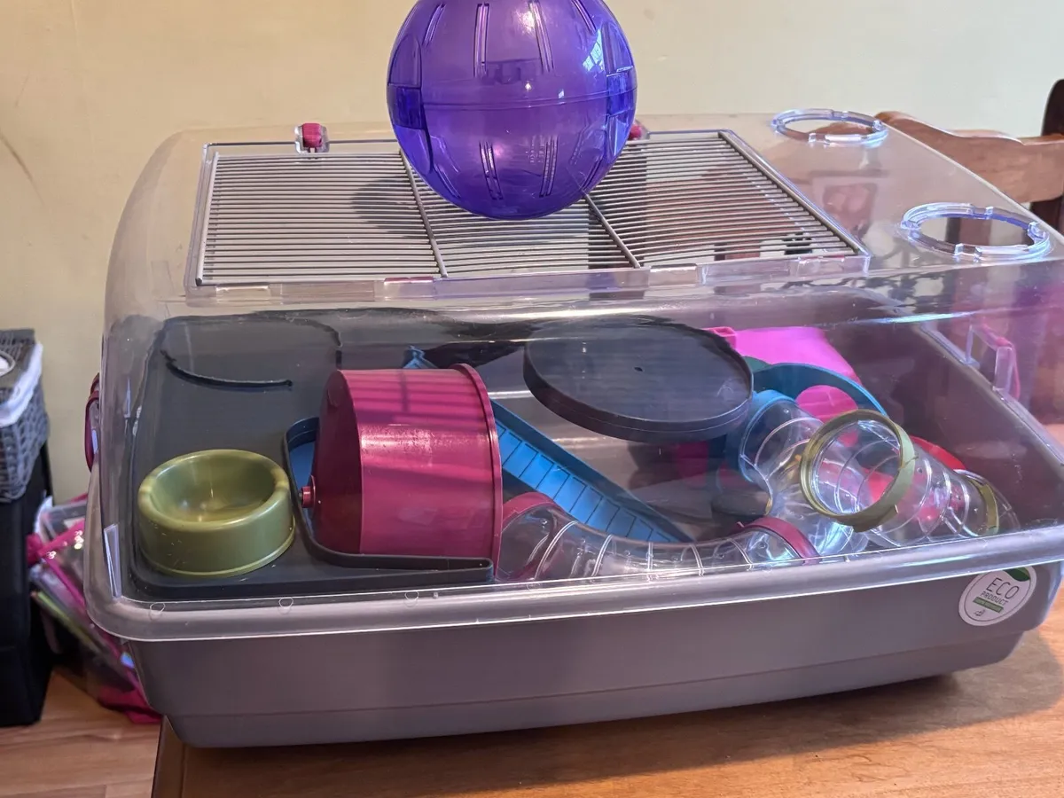 Hamster Cage Set Up - Image 1