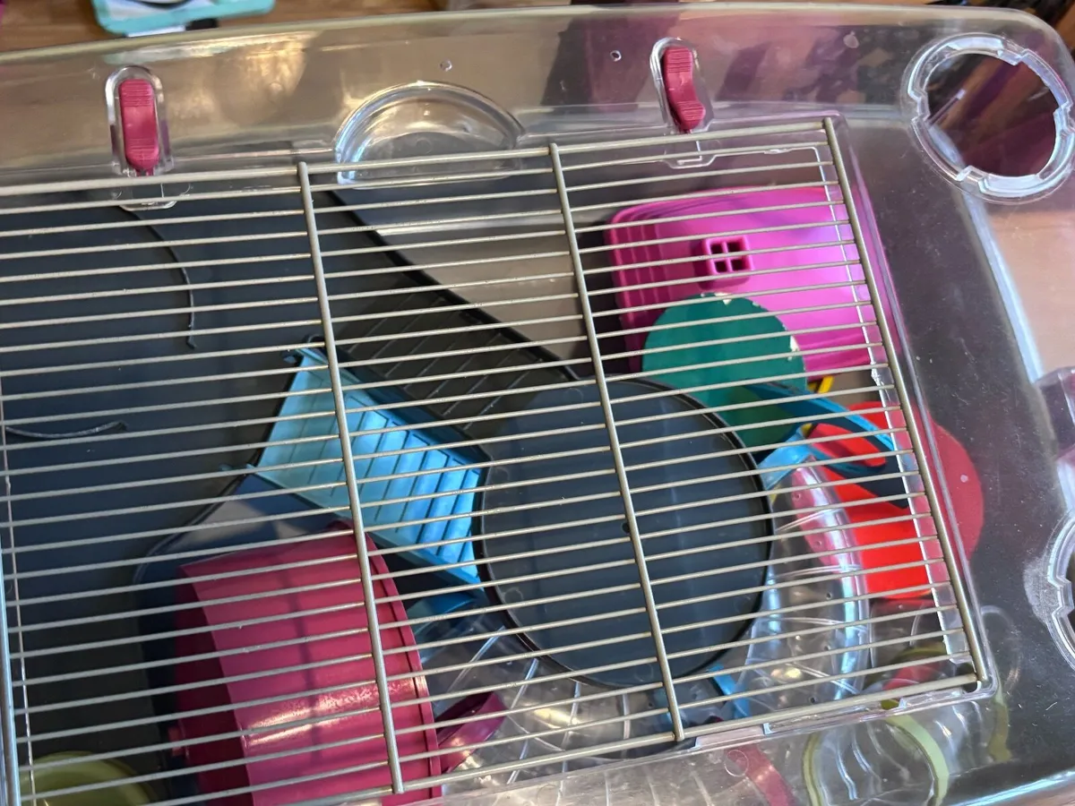 Hamster Cage Set Up - Image 2