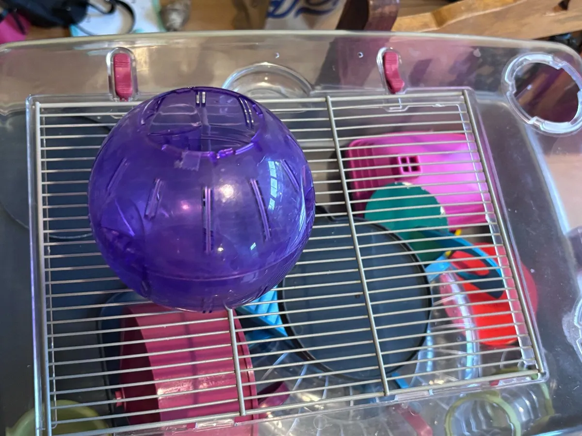 Hamster Cage Set Up - Image 3
