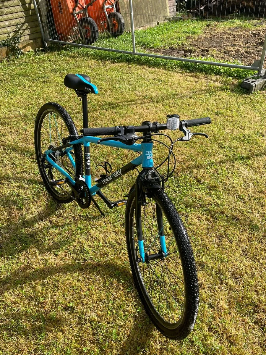 Child’s bike frog 69 - Image 2