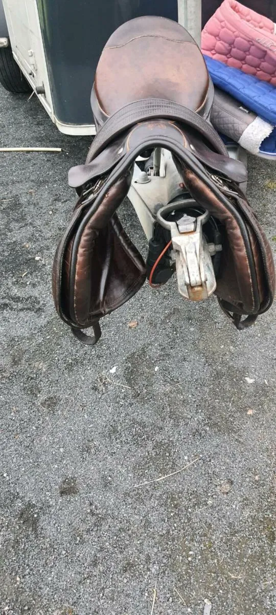 16.5" Berney Saddle for sale - Image 3