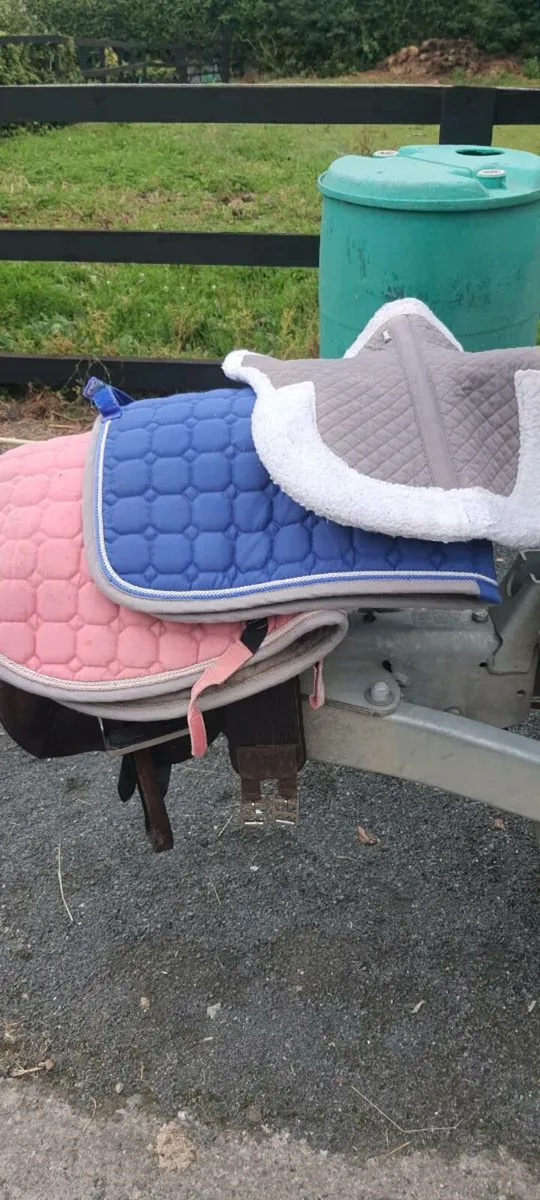16.5" Berney Saddle for sale - Image 4