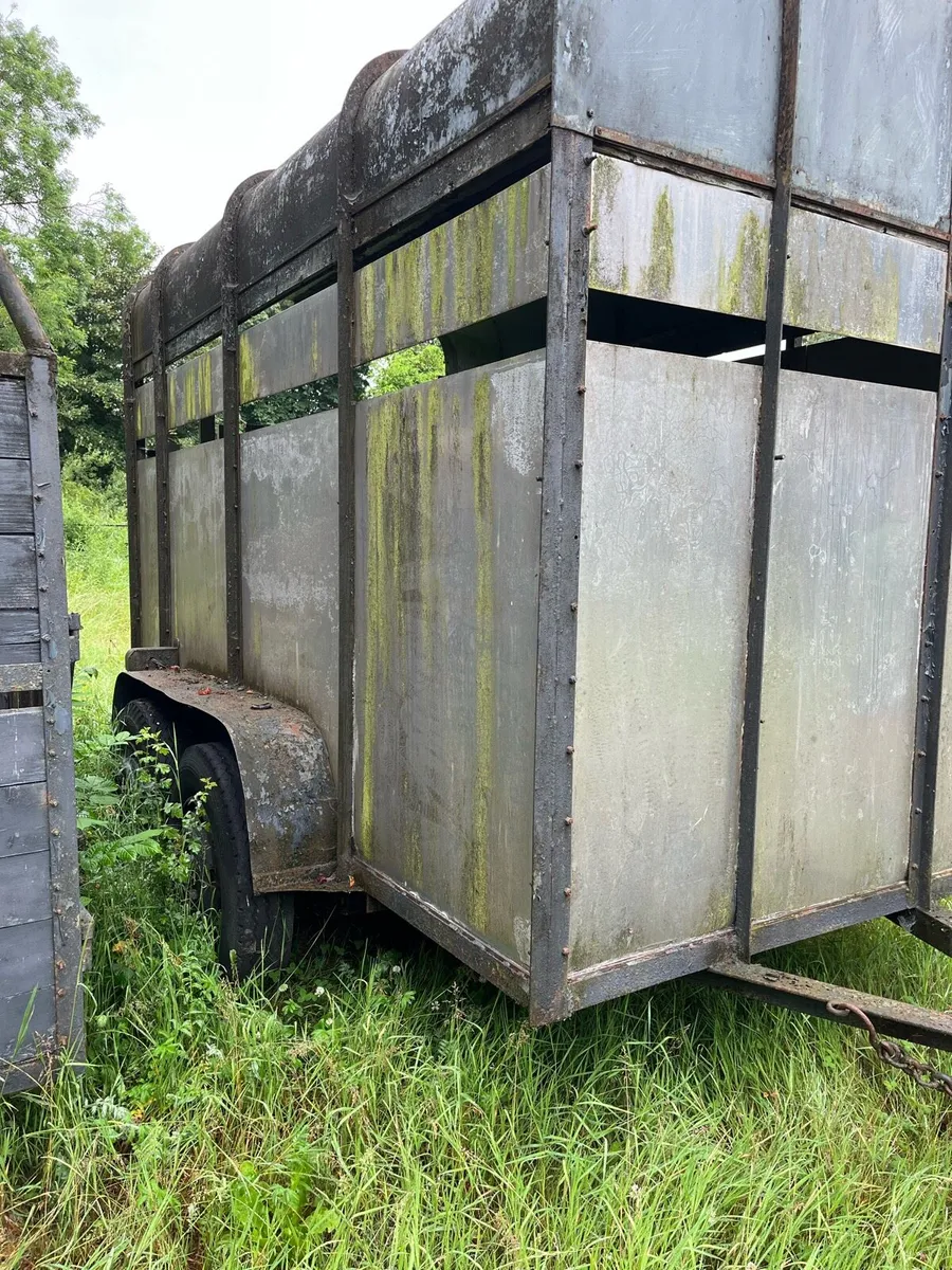 Cattle trailer - Image 3